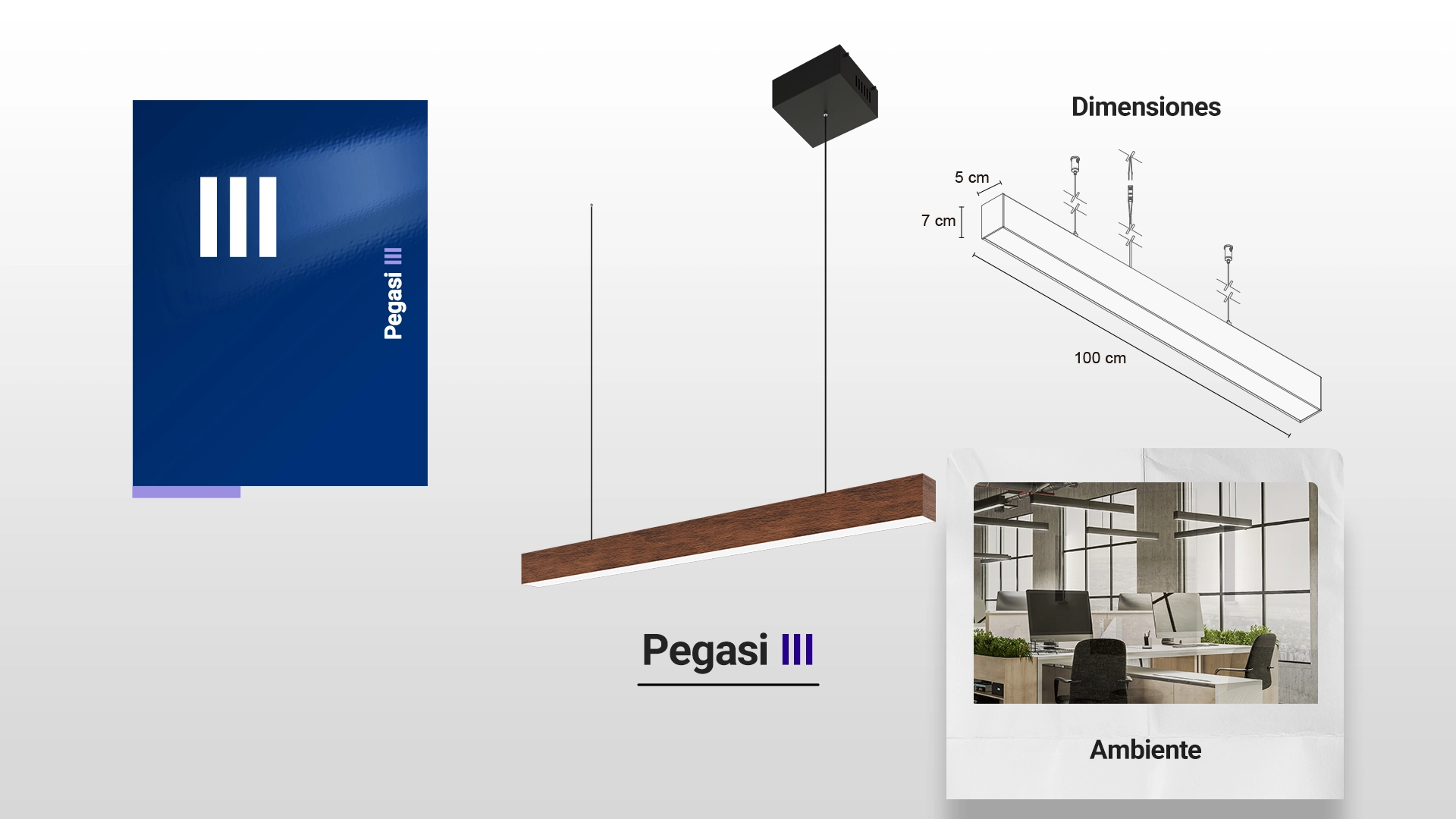 Ambiente Pegasi 3